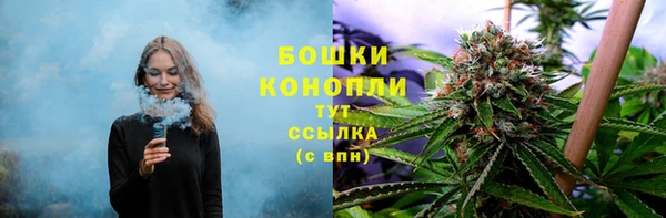 прущие грибы Верхний Тагил