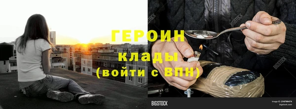 прущие грибы Верхний Тагил