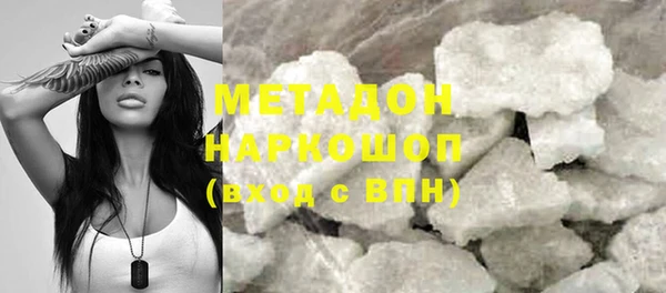 прущие грибы Верхний Тагил