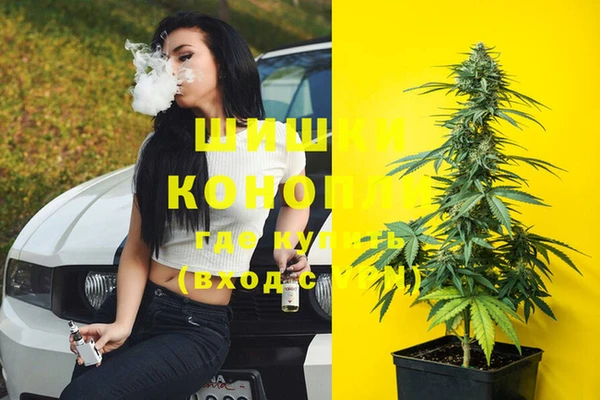 спиды Верея