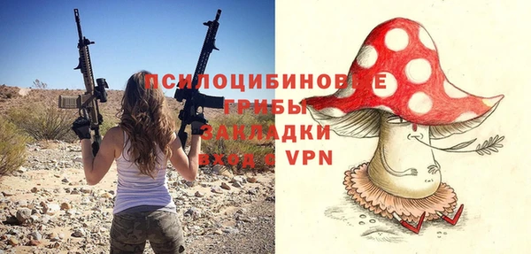 прущие грибы Верхний Тагил