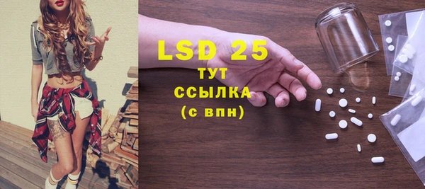 прущие грибы Верхний Тагил