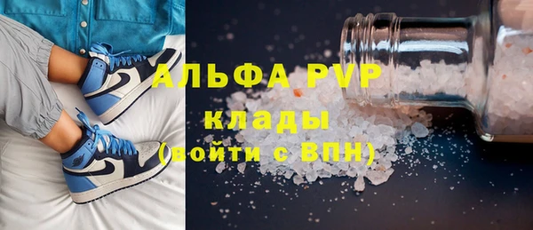 прущие грибы Верхний Тагил