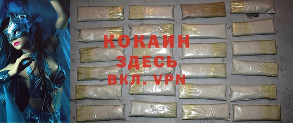 прущие грибы Верхний Тагил