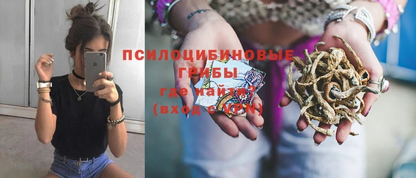 спиды Верея
