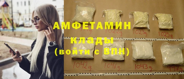 прущие грибы Верхний Тагил