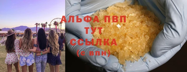 прущие грибы Верхний Тагил